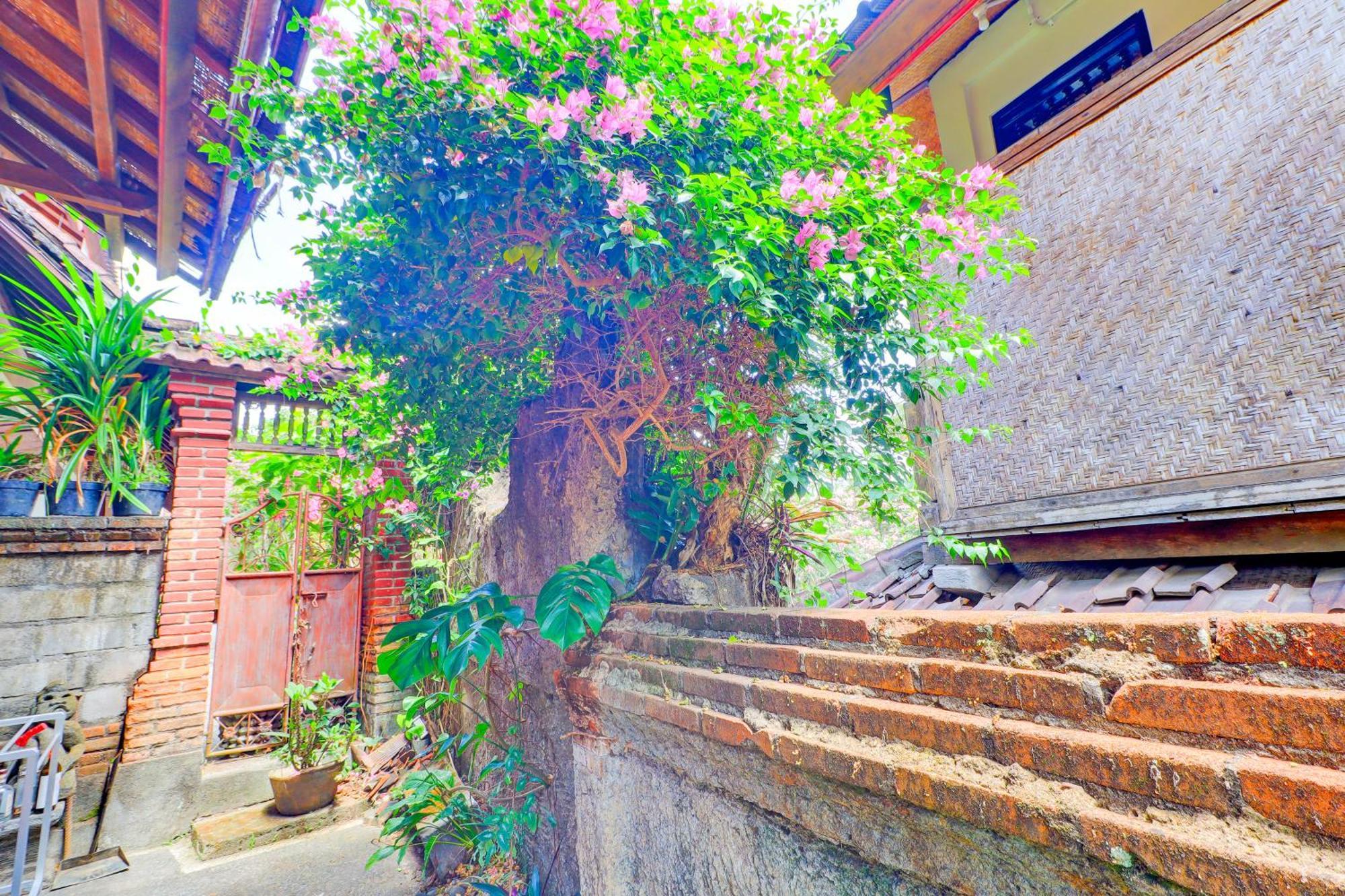 Hotel O Ubud Asri Homestay Near Monkey Forest المظهر الخارجي الصورة